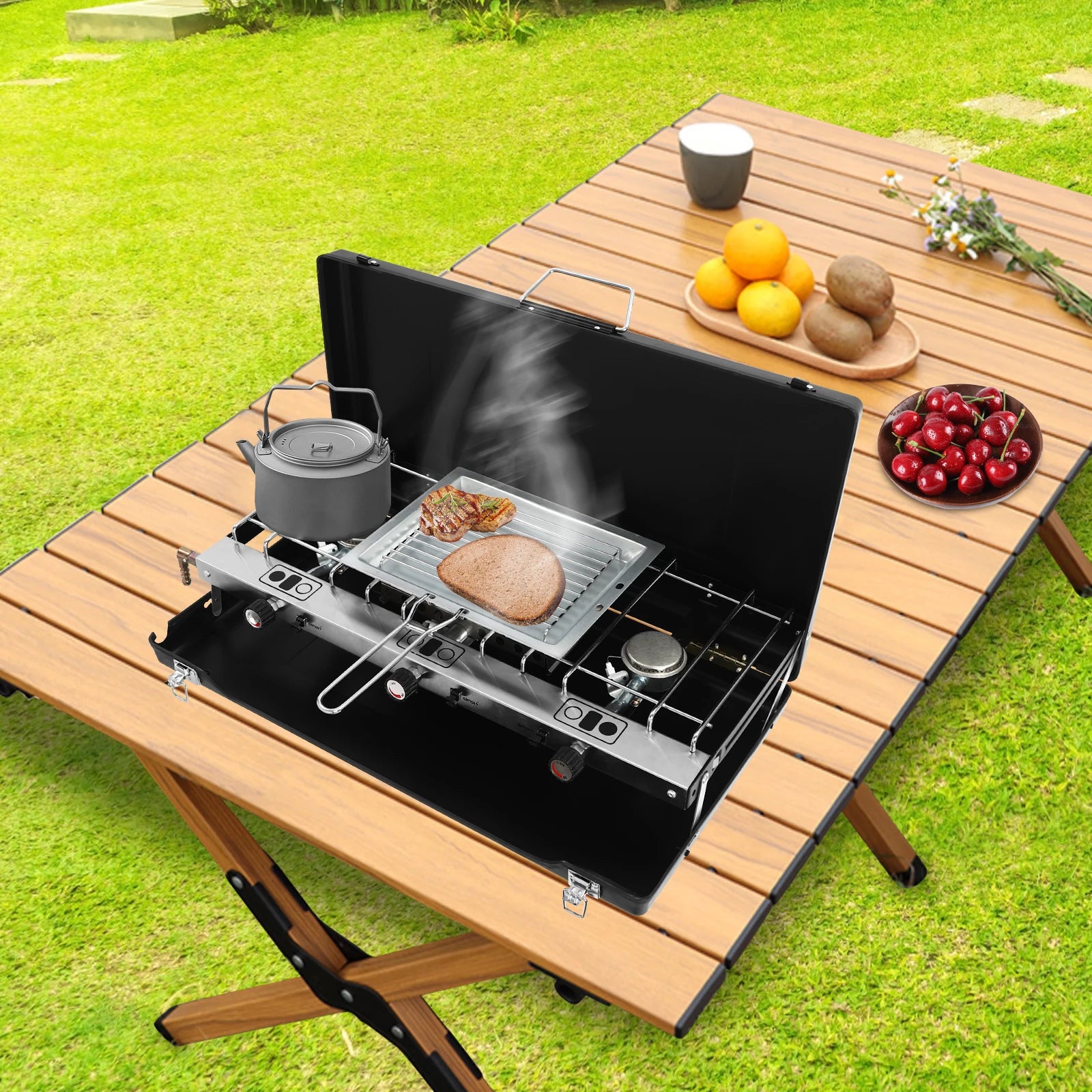Portable Propane Camping Stove