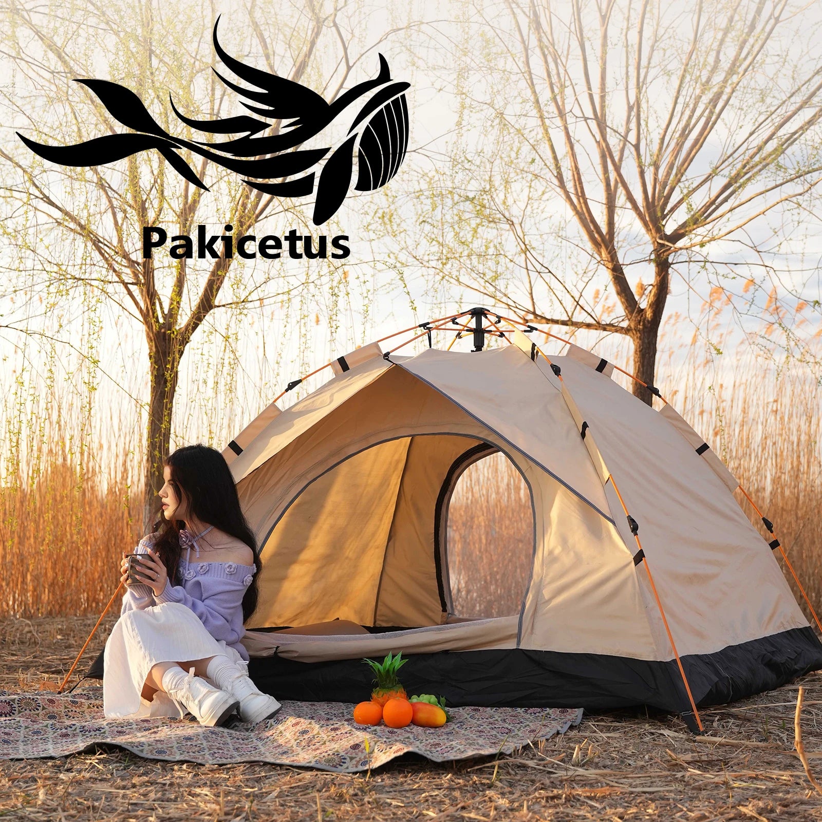 2-4 Person Camping Windproof Tent